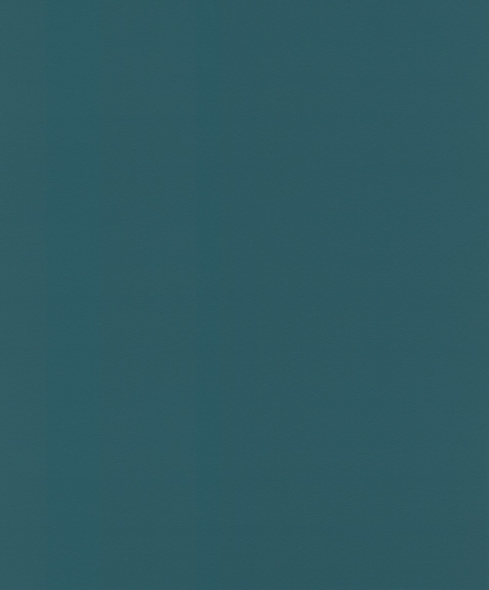 Vliesová tapeta Rasch 806809, kolekce Sansa, 0,53 x 10,05 m