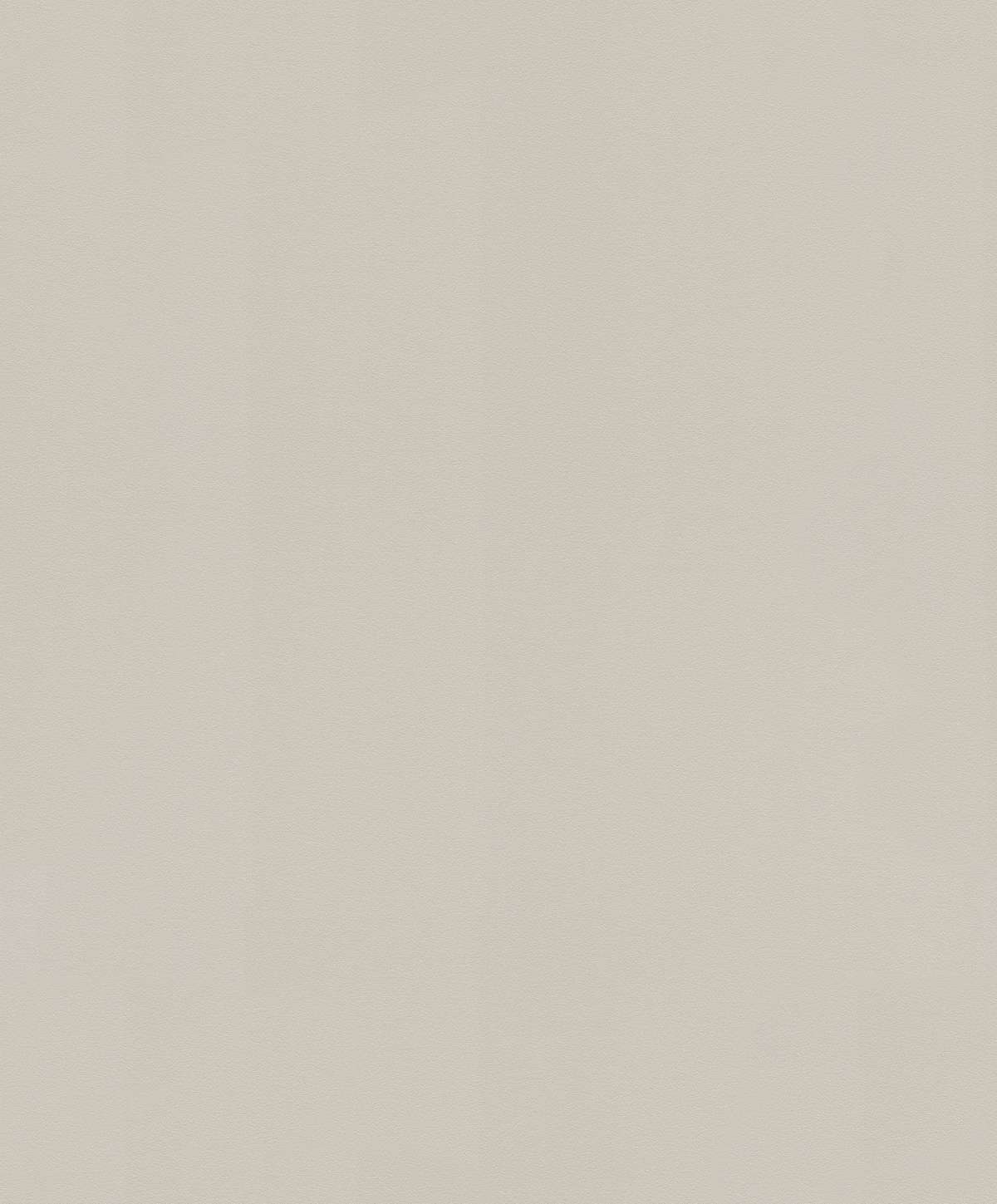 Vliesová tapeta Rasch 806823, kolekce Sansa, 0,53 x 10,05 m