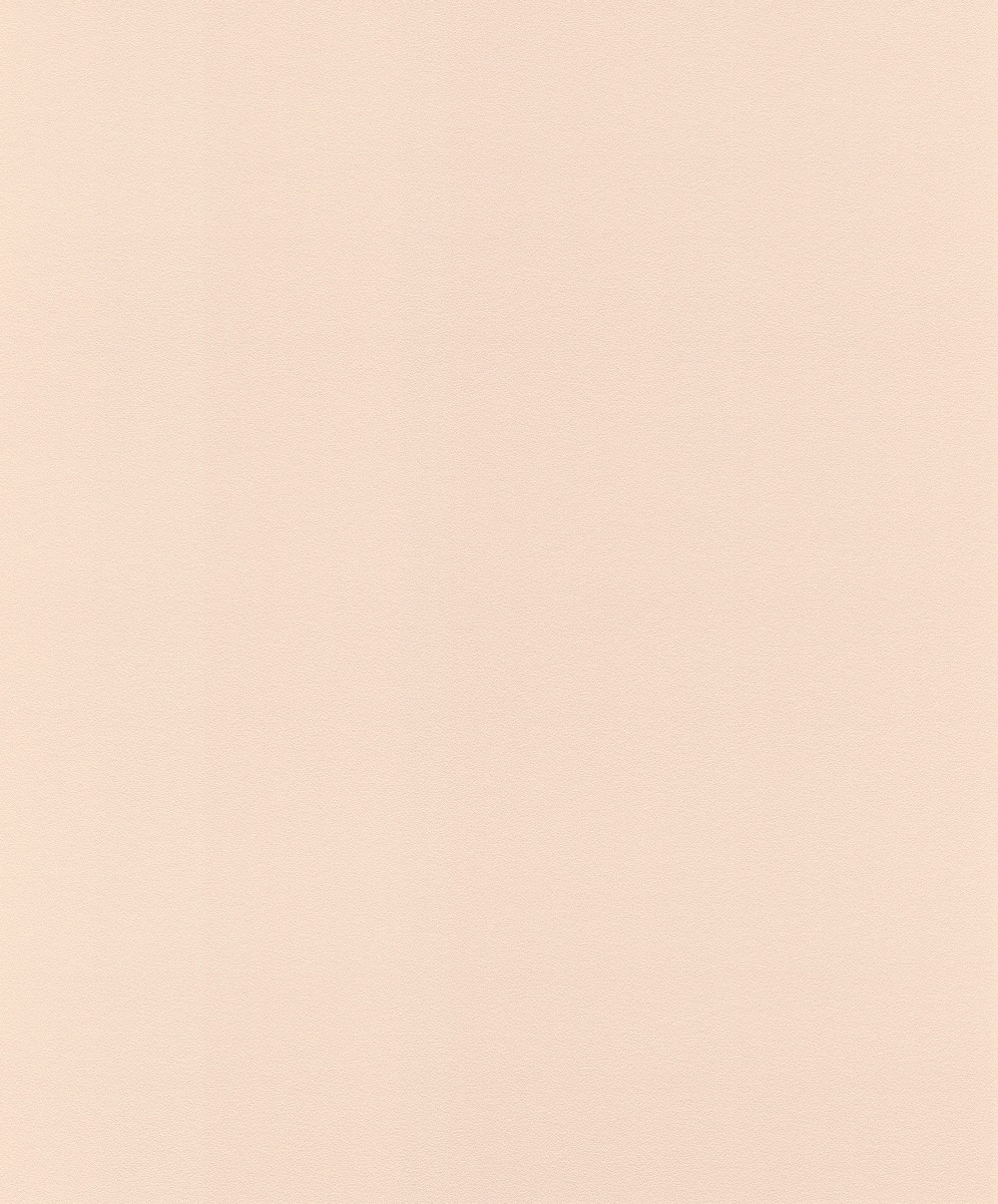 Vliesová tapeta Rasch 806830, kolekce Sansa, 0,53 x 10,05 m