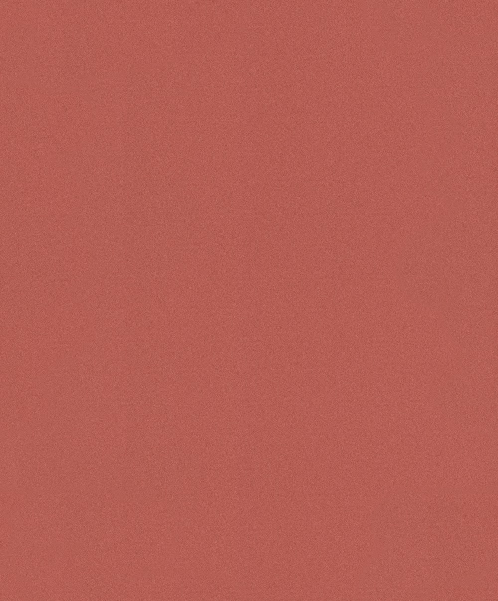 Vliesová tapeta Rasch 806878, kolekce Sansa, 0,53 x 10,05 m